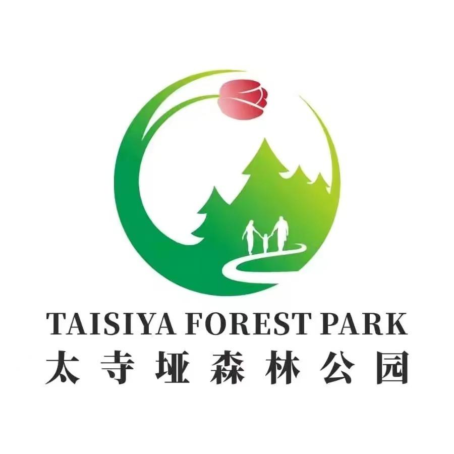 太寺垭森林公园