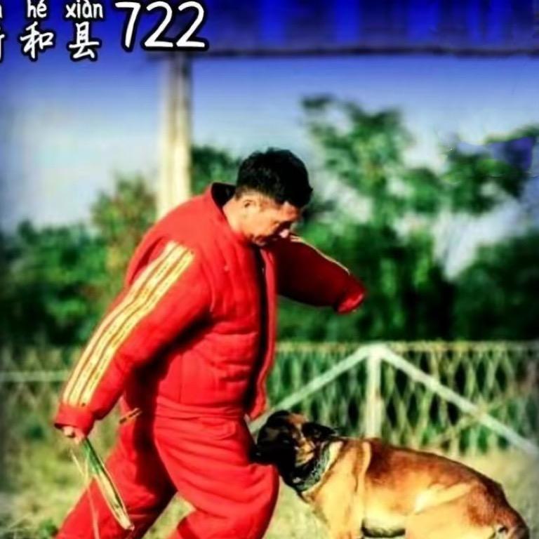 阿力木江训犬俱乐部
