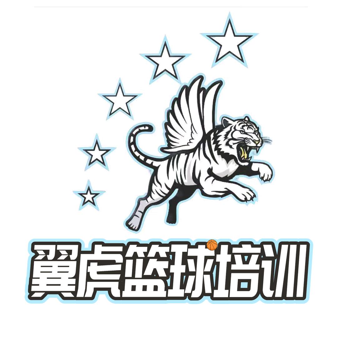 翼虎篮球龙湖天街店
