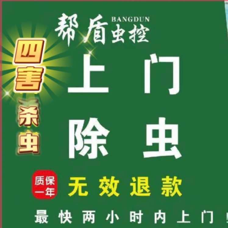柳州帮盾白蚂蚁除四害