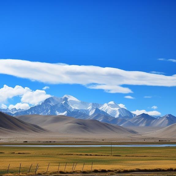 助景传媒宠粉号