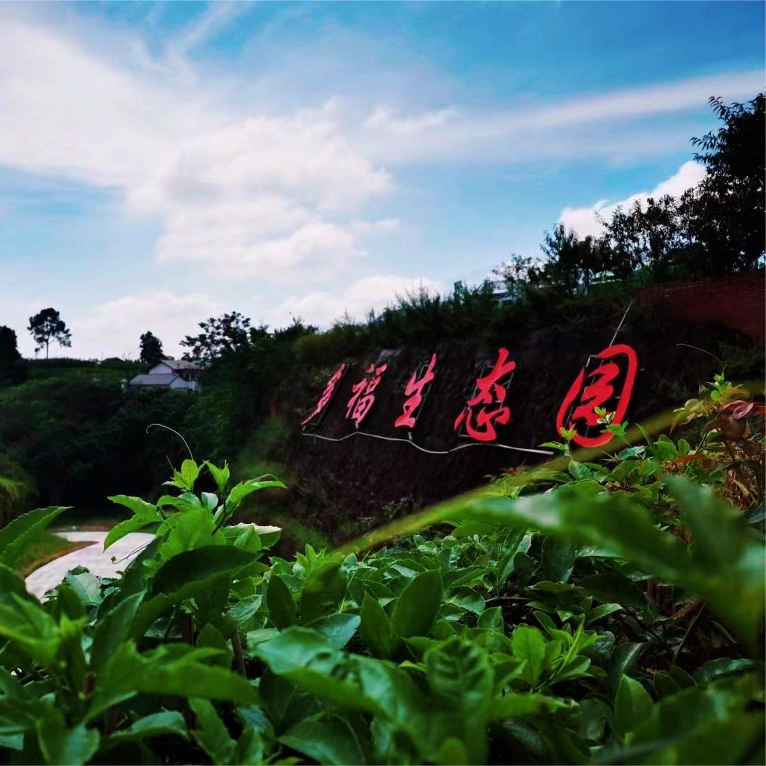 多福农场美食记