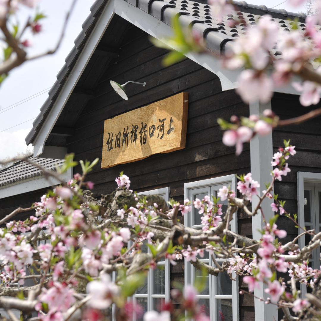 丹东凤上上河口景区