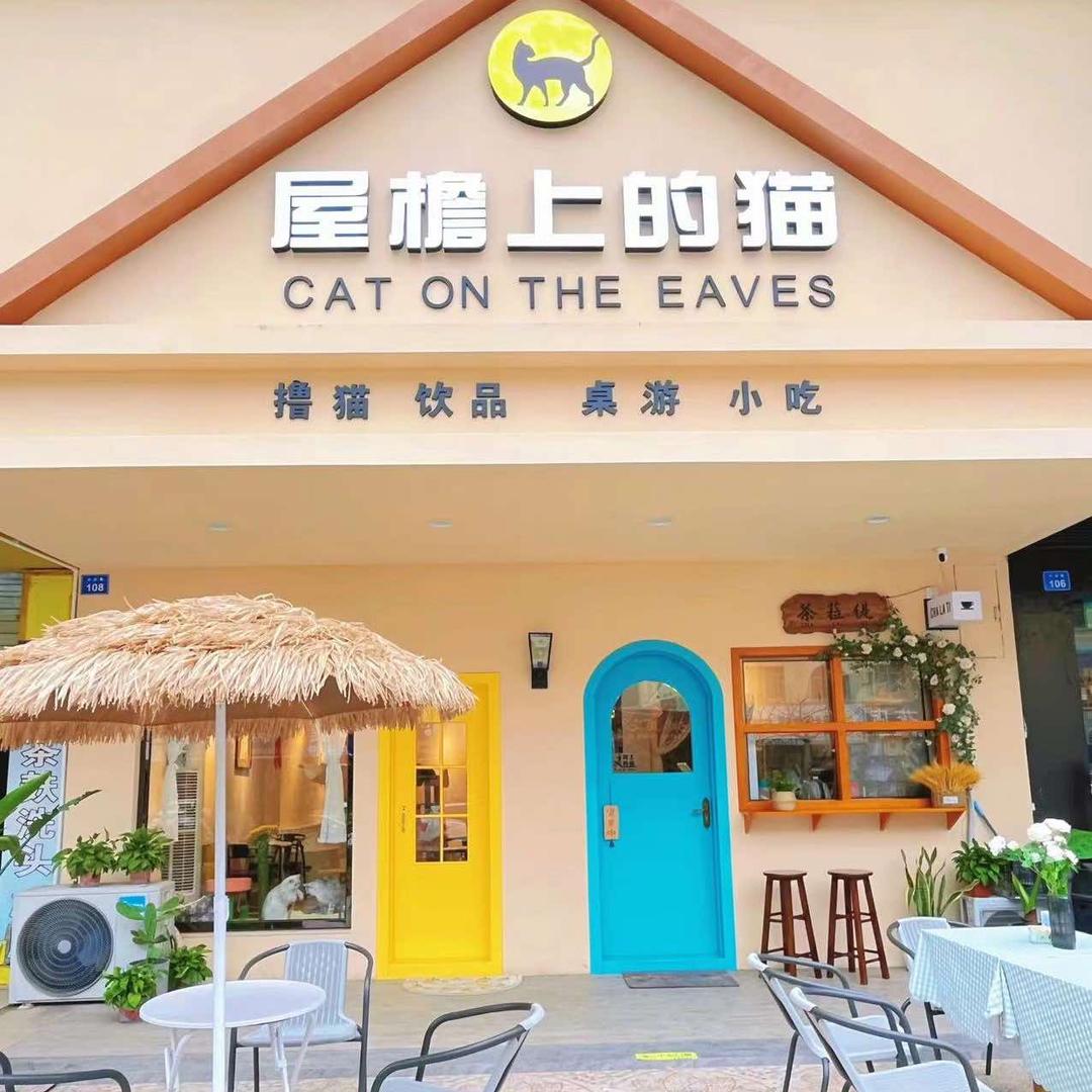 来宾市兴宾区屋檐上的猫宠物食品店