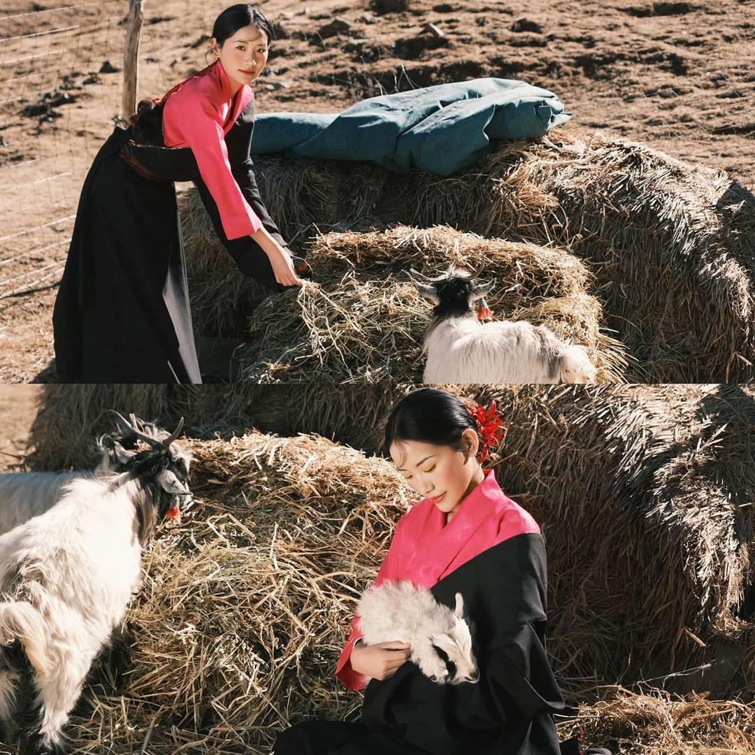 鹿野影像馆 草原藏服写真直通店