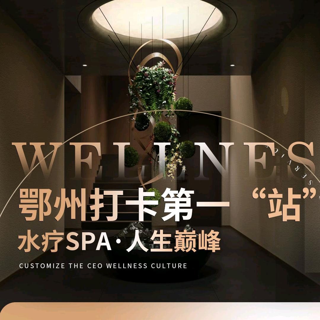 来财咯