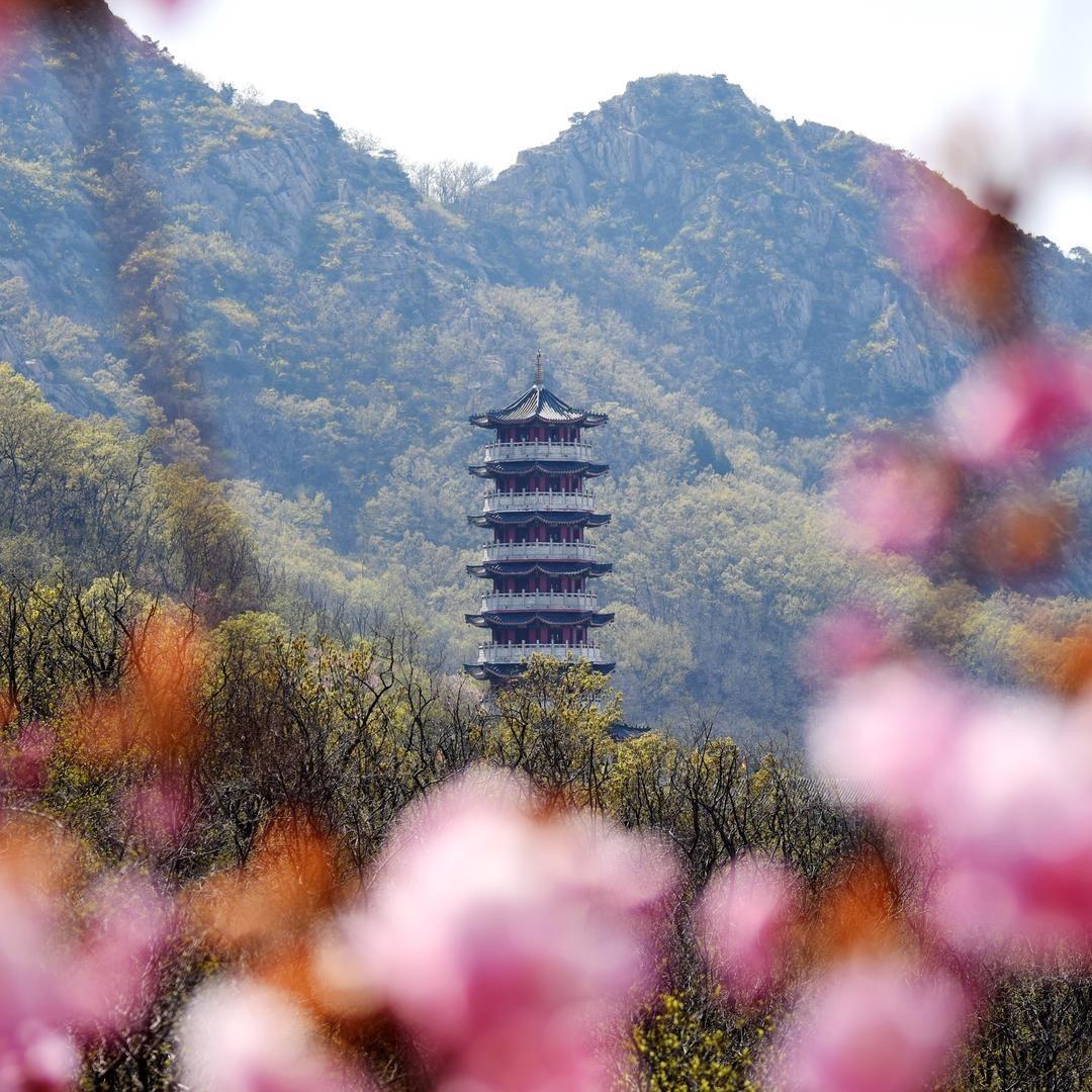 大基山森林公园宠粉号