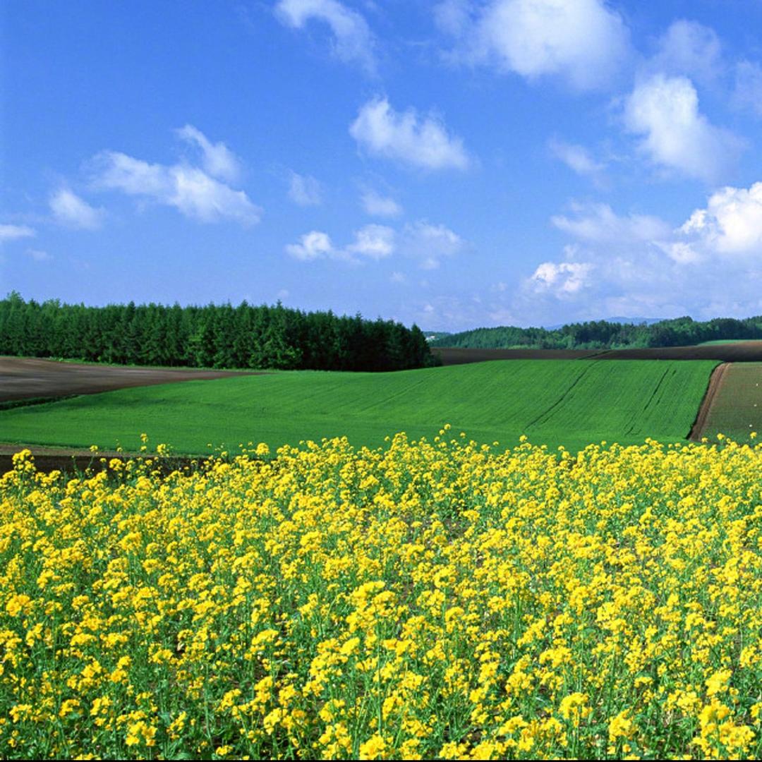 供销超市(澳柯玛路店)鱼天s直播号