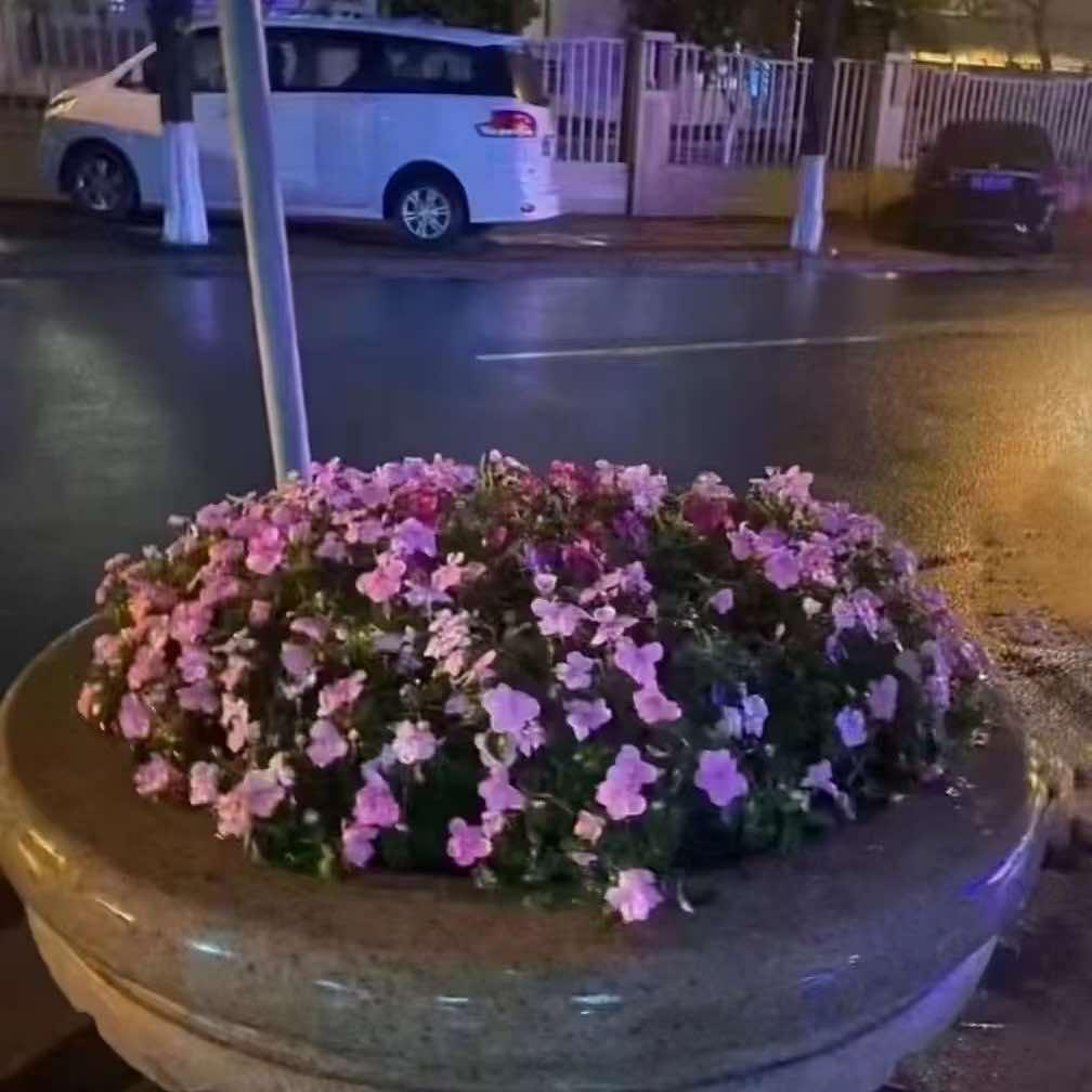 小象超市3运营号