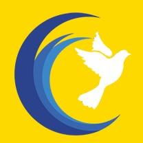 灵鸽高鸽BY直播号