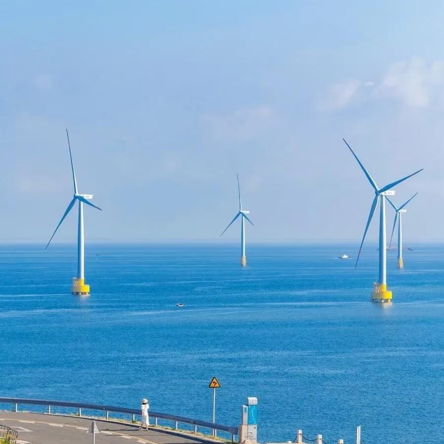 三叶草书店创能号