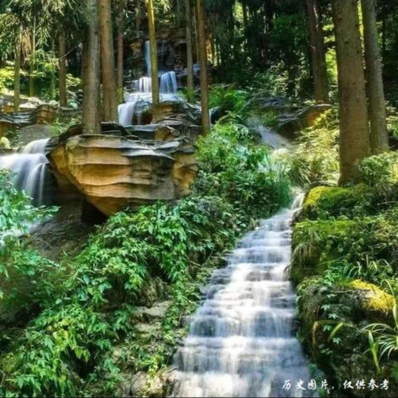 绿野仙踪山水画廊-官方号