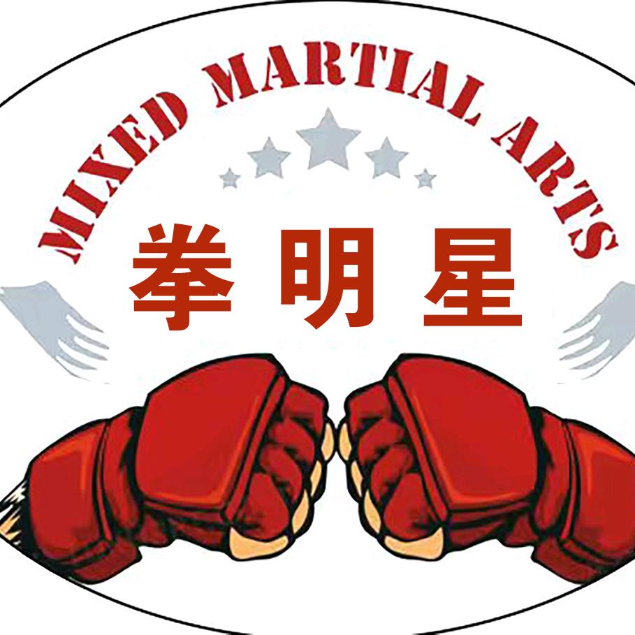 🏆双滦拳明星散打武术馆