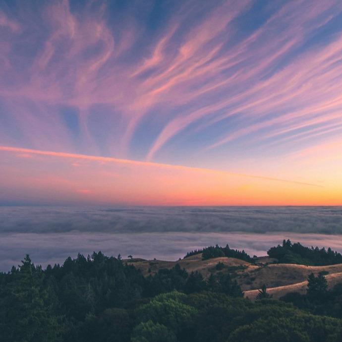 飘飘传媒直播号