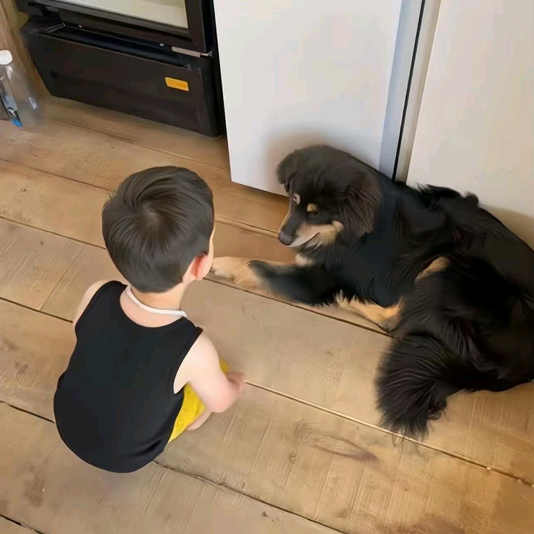 J·k即时设计官方号