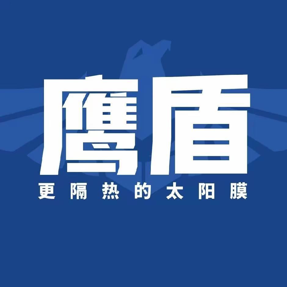 鹰盾贴膜连锁（平乡大港车饰店）头像