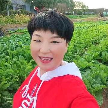 浙皖农家乐  香姐