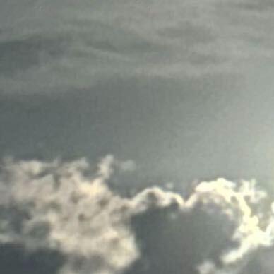 广州浦渝机械设备罗磊直播号