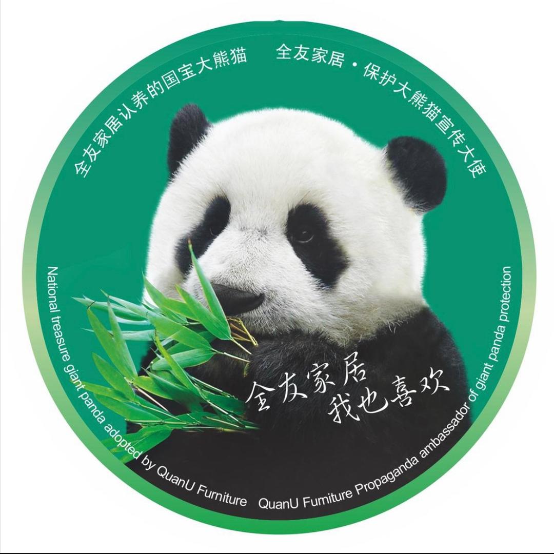 全友家居(泰安春升大厦店)