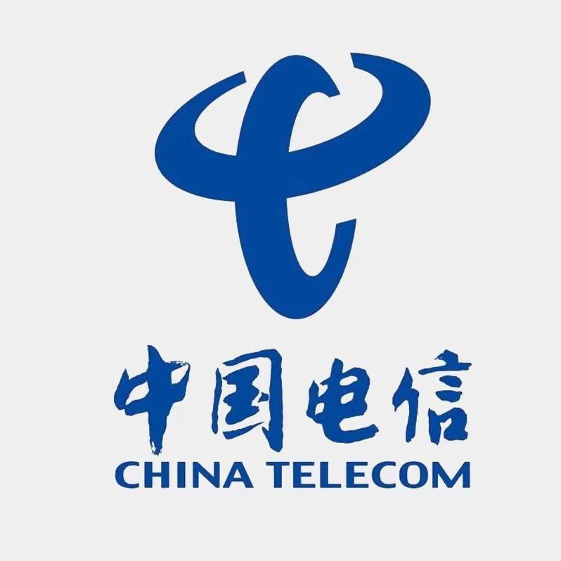 中国电信(和平路店)专用号