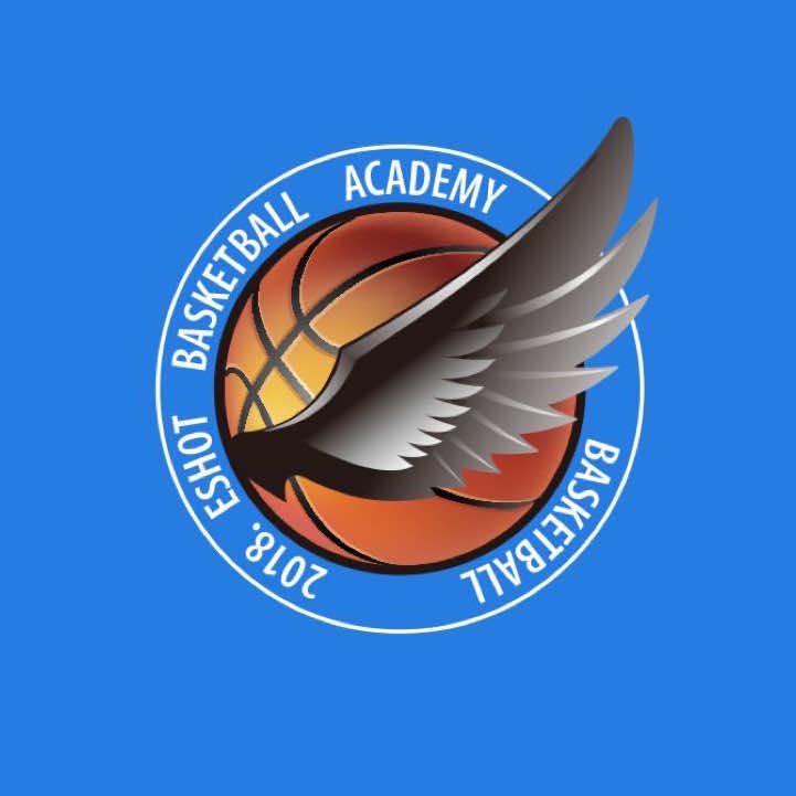 翼速篮球体适能福利号