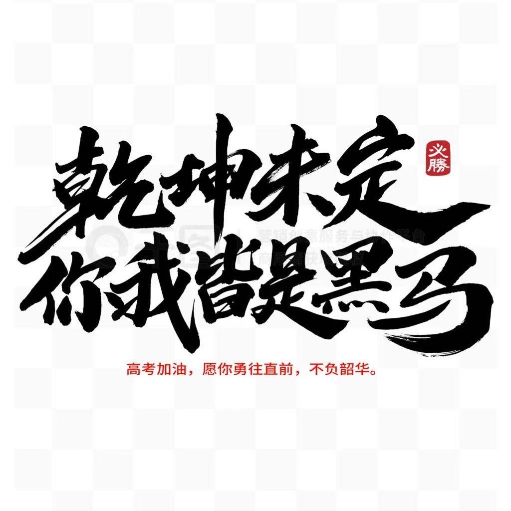 中考逆袭规划苏老师-墨飞