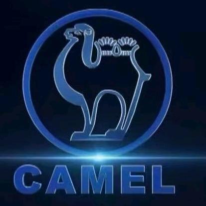 内黄县骆驼电池总代理