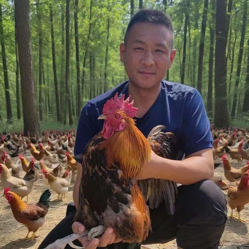 徐州五优岛生态园