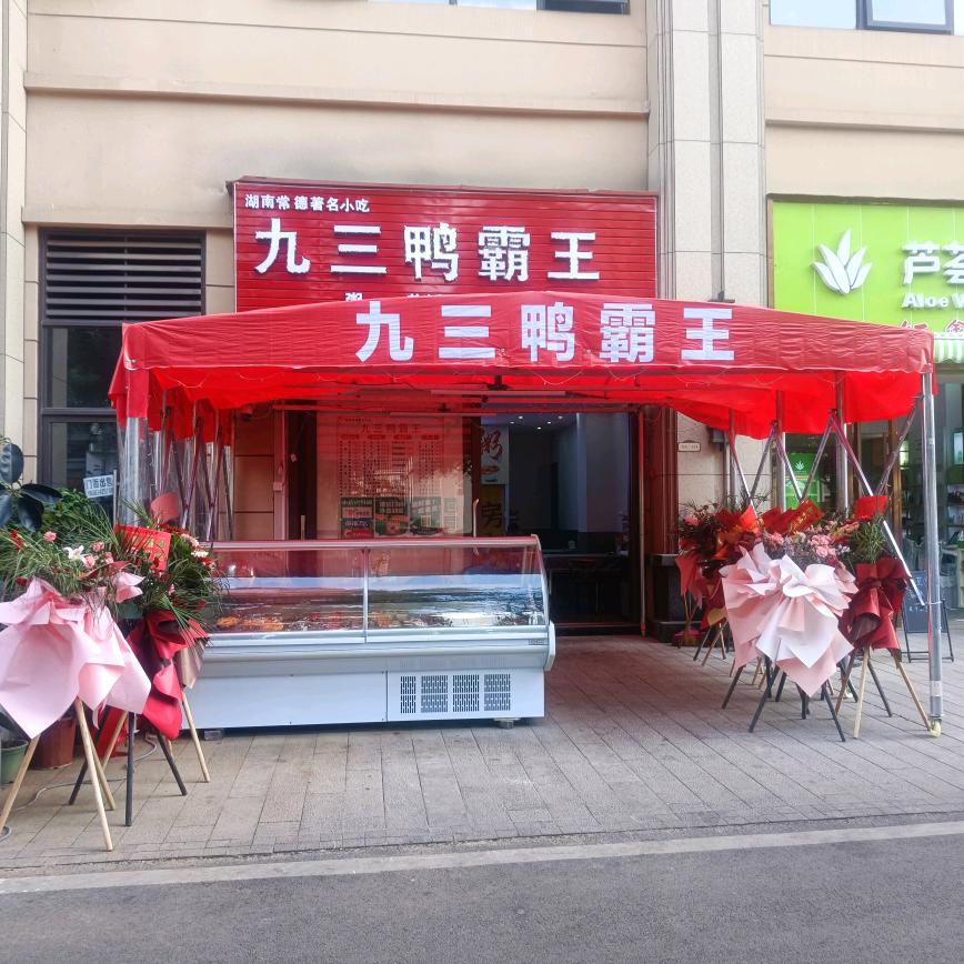 小平日记