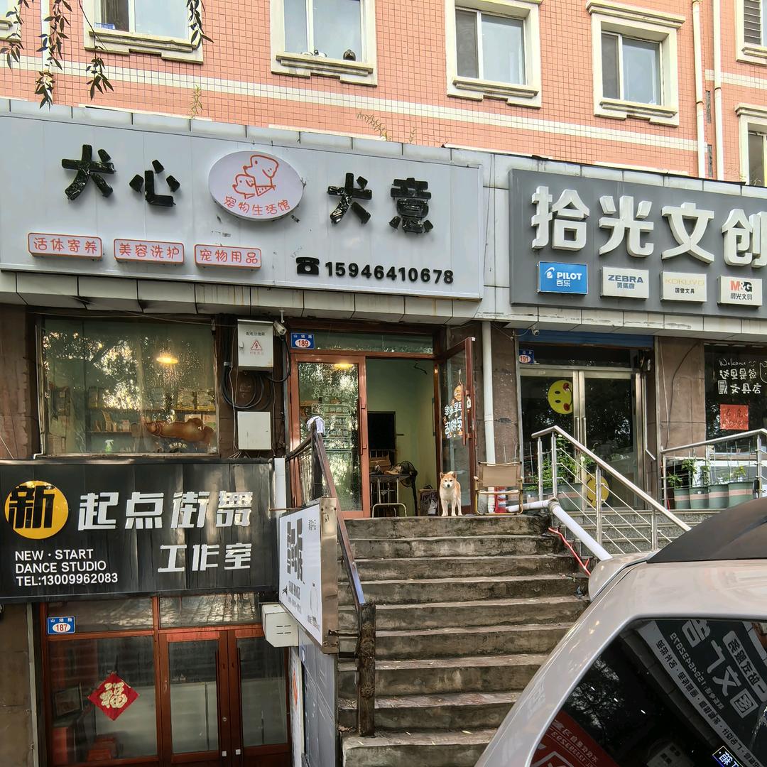 犬心犬意宠物生活会馆官方号