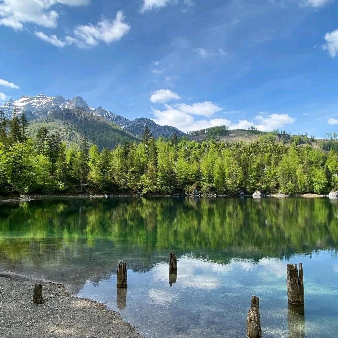 欧利平桃子百货号