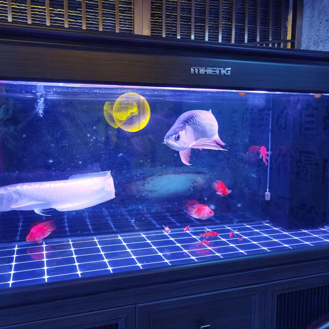 凡凡山西绅渡悟健康管理有限公司