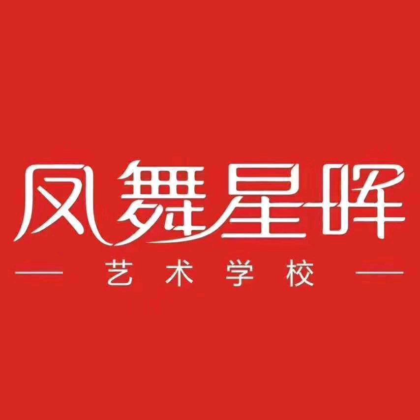 凤舞星晖艺术学校(空港校区)