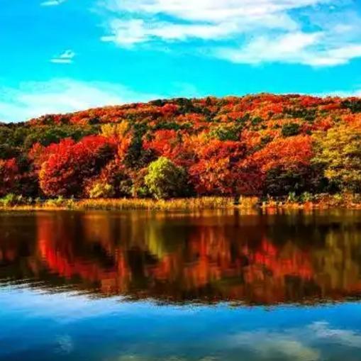 菏泽轻创黄总经营号