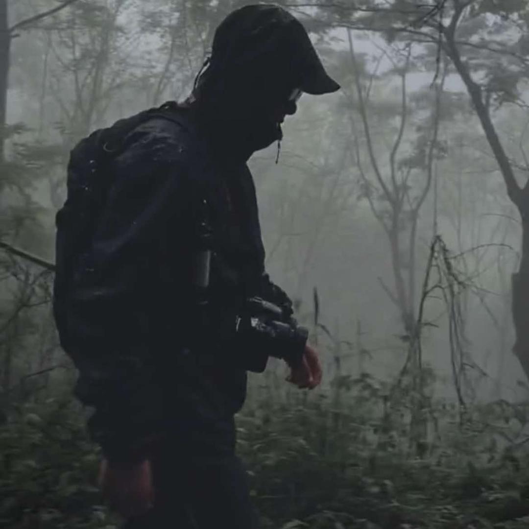 M7 Rainforest