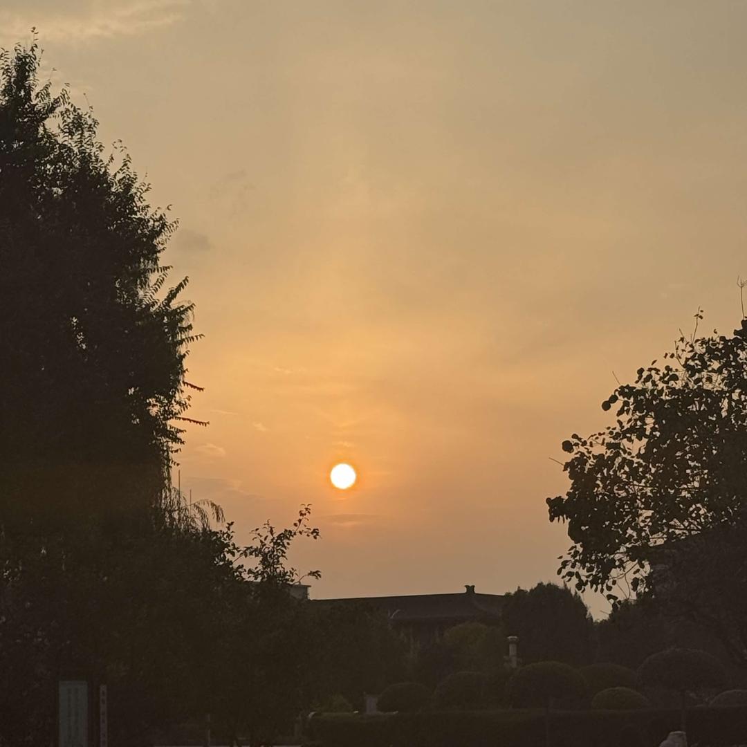 珍美银(开元店)官方号