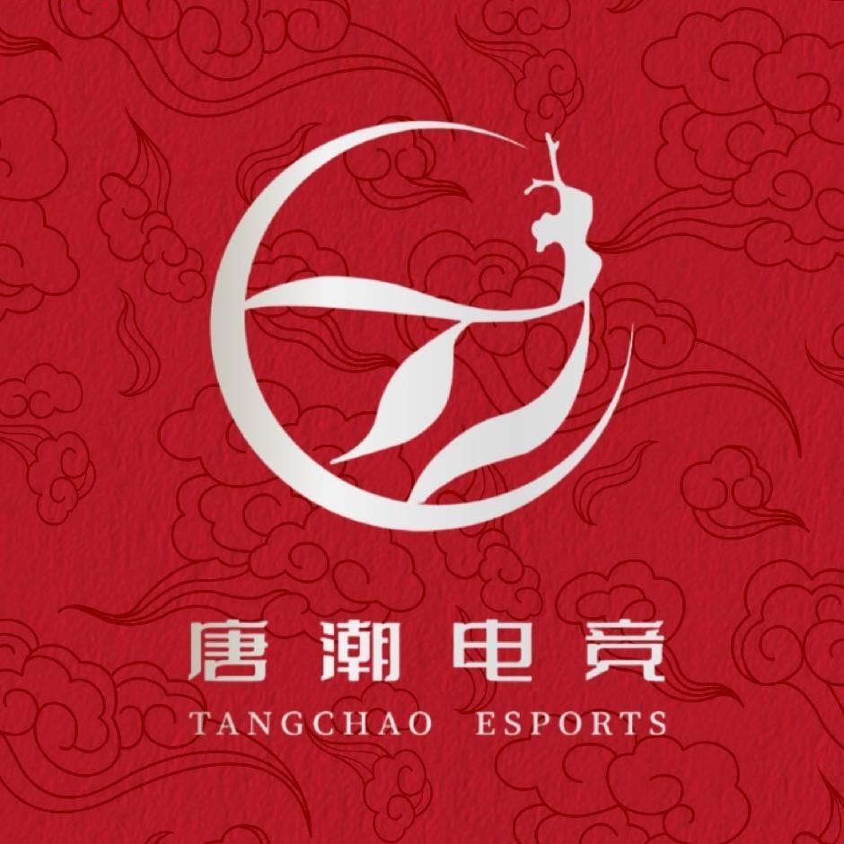 唐潮电竞(无界二道巷店)专用号