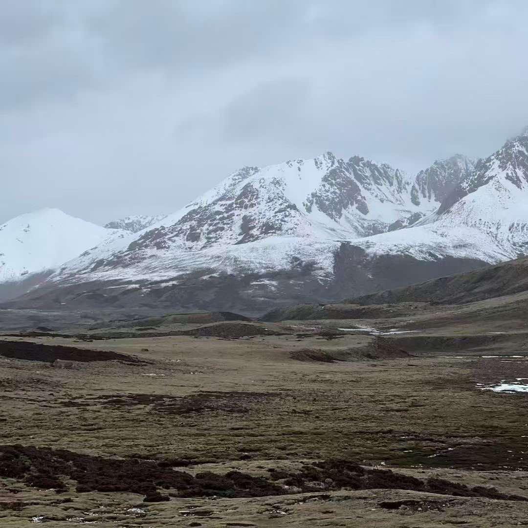 司灿（小微）直播号