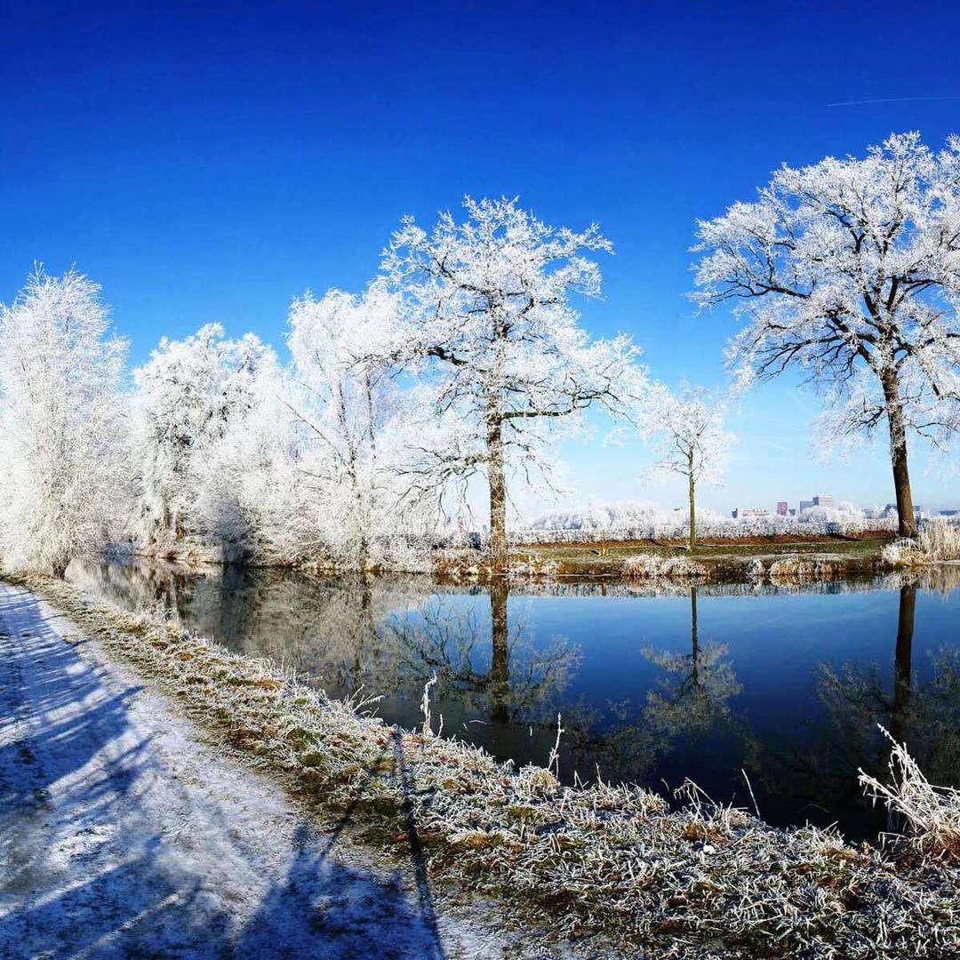 问道手游小壮直播号