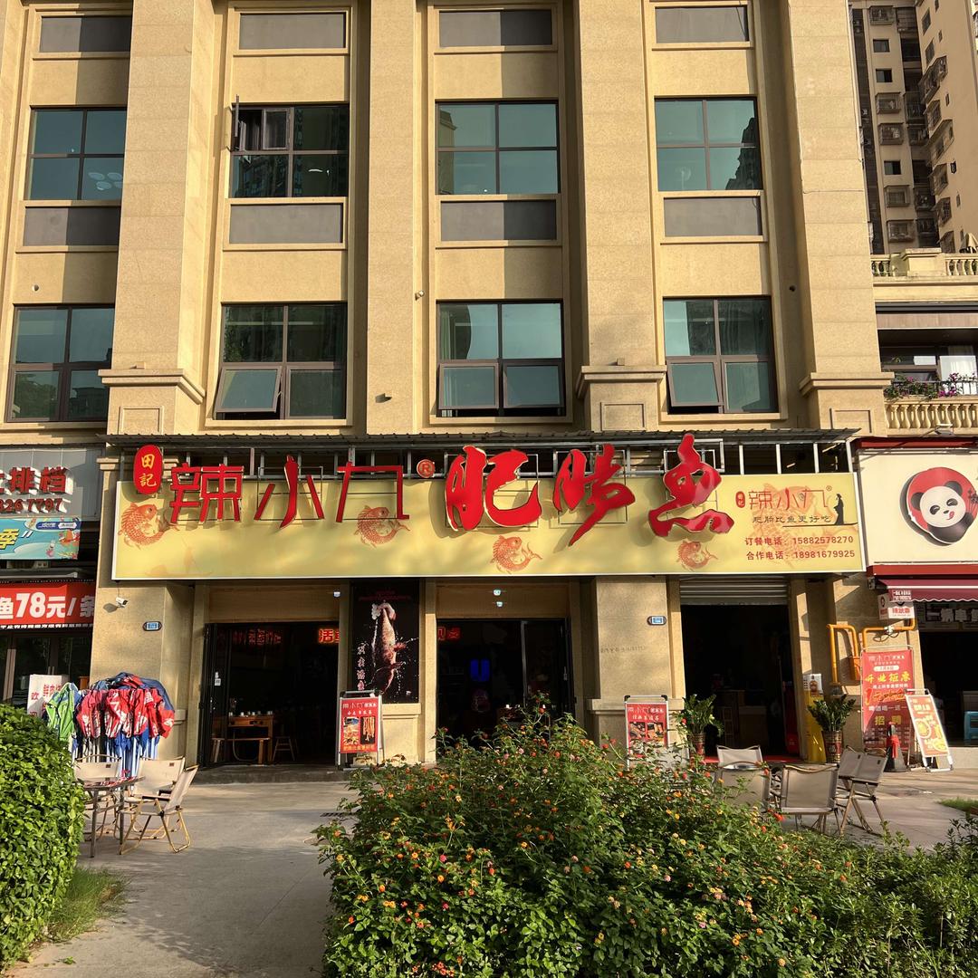 田记辣小九肥肠鱼