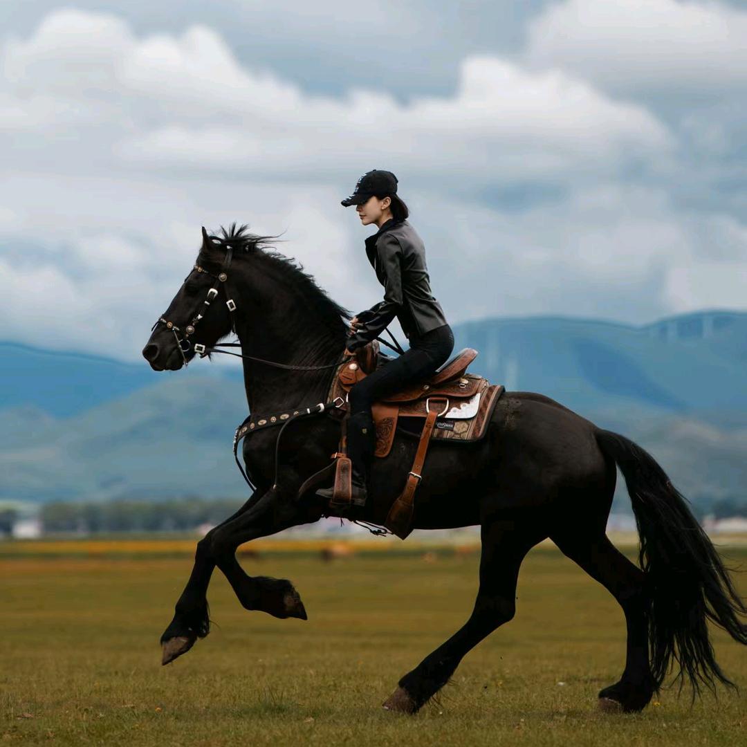 济南所友马术官方号
