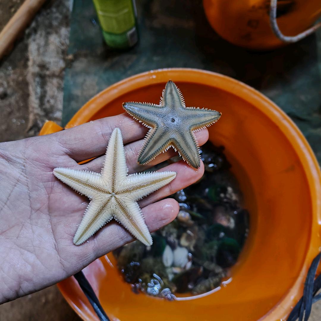 红树林66号赶海基地