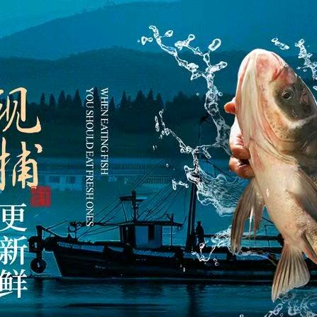 千岛湖胖头鱼·江浙融合菜