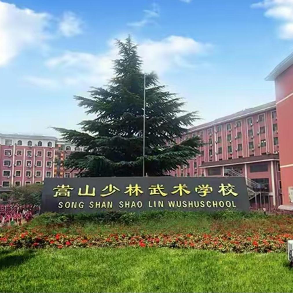 河南嵩山少林武术学校(学武择校)