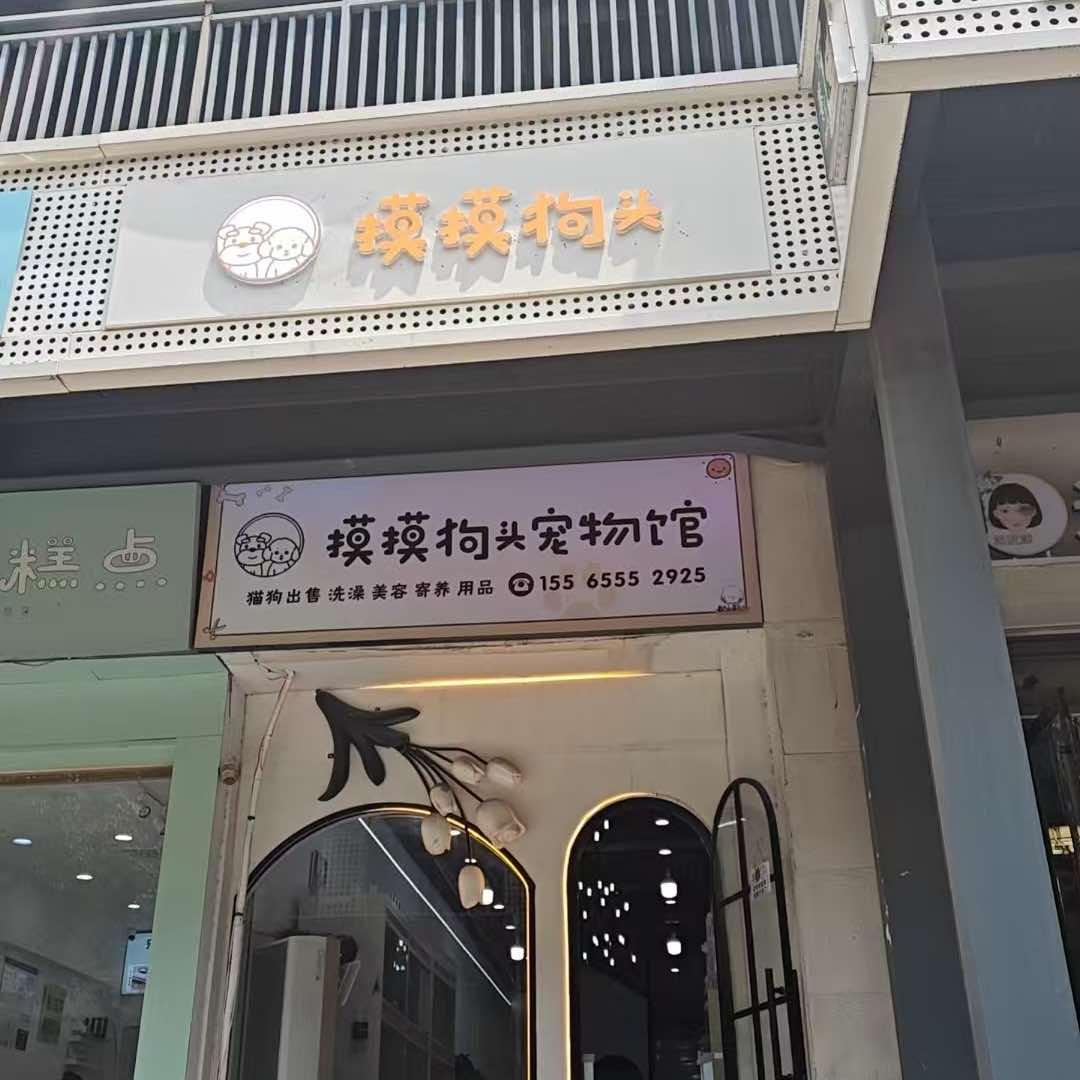 摸摸狗头（天润礼节路）