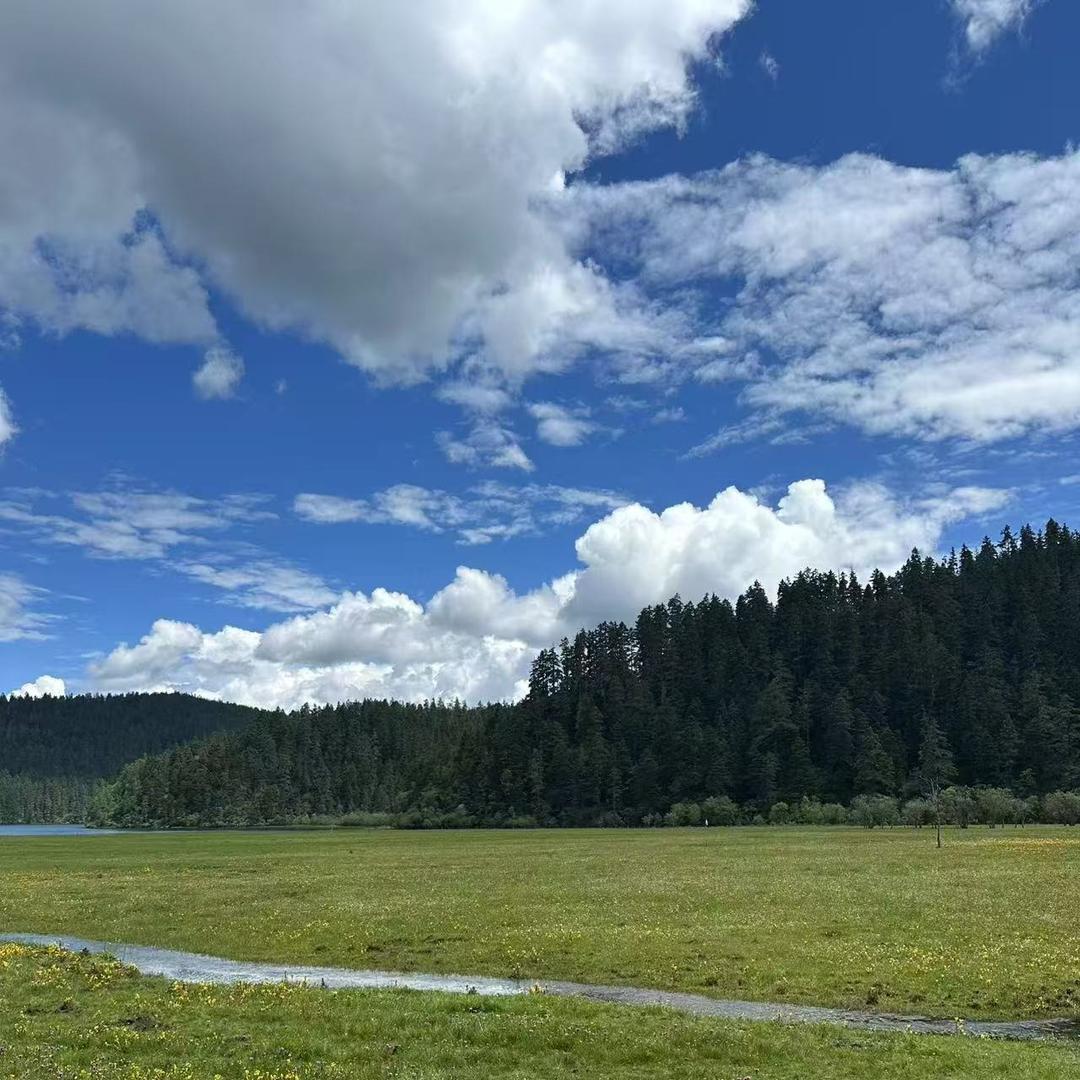 梦想家nn.绛峪稻