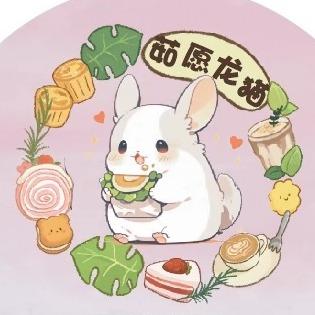 茹愿龙猫-了不起的树莓熊