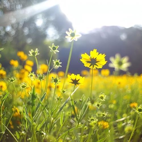 上海璞氧广告传媒有限公司