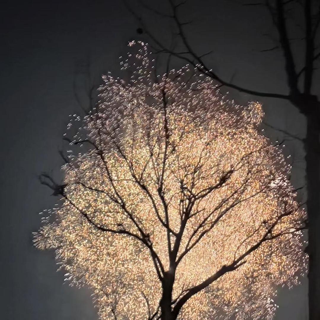 醉华融行通网络科直播号2