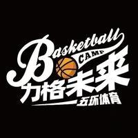 力格未来---五环篮球